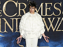 Звезда «Фантастических тварей» превратился в сову на премьере