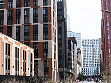 Адвокат Некрасов: «борцам за тишину» из многоквартирных домов стоит переехать в деревню