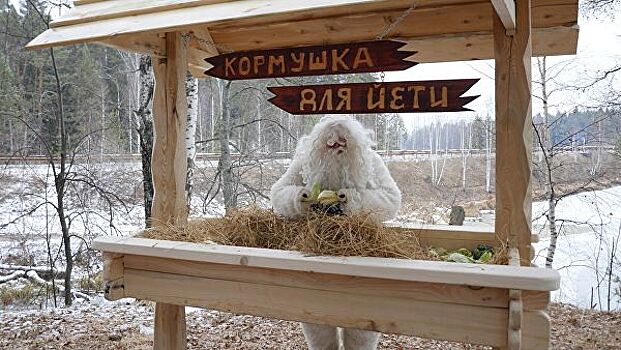 Кормушку для снежного человека сделали под Челябинском