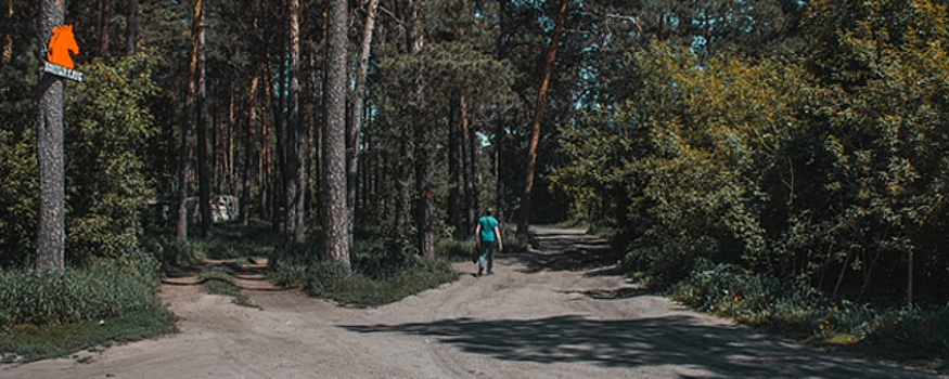 Из-за реконструкции Заельцовского парка новосибирцы лишились асфальтированной дороги