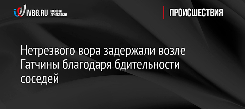 Нетрезвого вора задержали возле Гатчины благодаря бдительности соседей