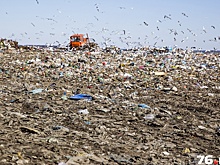 За каждой батарейкой не уследишь: директор «Скоково» рассказал, что происходит с мусором на полигоне