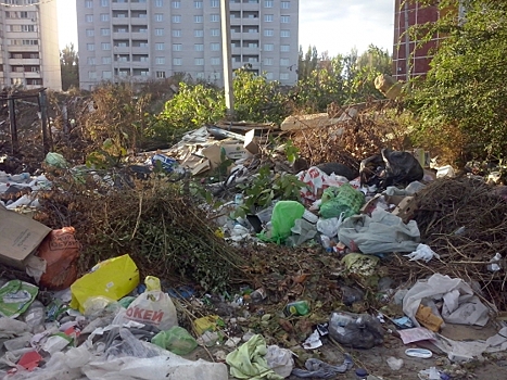Ростовская область избавится от мусорных свалок в 2019 году