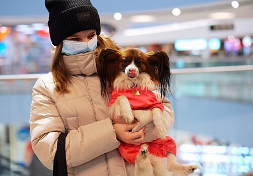 В Москве ограничения в связи с коронавирусом отменят не раньше лета 2021 года