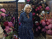 Королева Камилла простилась со своим любовником