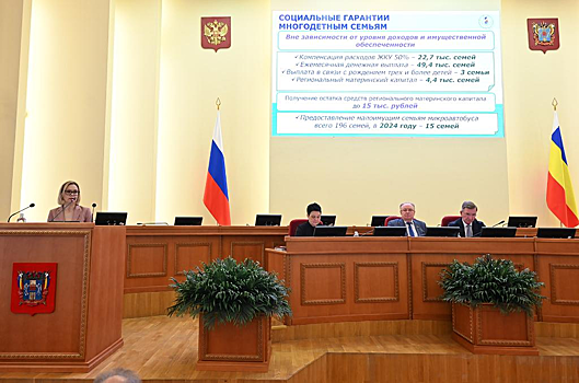 На Дону расходы областного бюджета на социальную сферу в 2024 году выросли на 10%