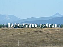 В Крыму упрекнули владельца зоопарка в попытке "шантажировать власти"