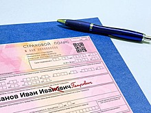 Ситуации, когда нужно внести правки в полис: как исправить ошибку в ОСАГО