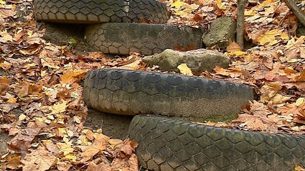 Пензенцы ходят на Западную Поляну и обратно по старым покрышкам