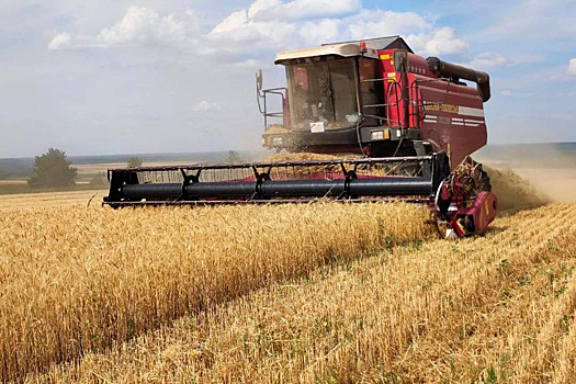 Мордовские аграрии увеличили урожайность зерновых и корнеплодов