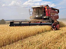 Мордовские аграрии увеличили урожайность зерновых и корнеплодов