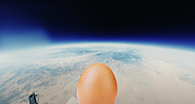 Экс-инженер NASA сбросил куриное яйцо из космоса так, что оно уцелело
