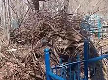 Кемеровчане пожаловались на заваленное мусором кладбище