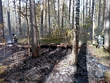 В Бурятии площадь лесных пожаров в пять раз превысила прошлогодние показатели