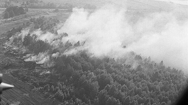 Какой ущерб нанес СССР климатический сбой в 1972 году