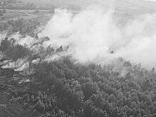 Какой ущерб нанес СССР климатический сбой в 1972 году