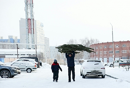 В Омске среди осени продолжают устанавливать новогодние елки