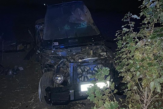 В ДТП с Mercedes в Воронежской области погибли три человека