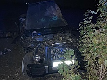 В ДТП с Mercedes в Воронежской области погибли три человека