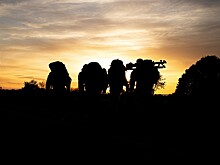 Военблогер предрек исход войны с Ирана с Израилем