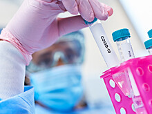 Молодеющий вирус: все больше детей и подростков заражаются COVID-19