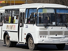 В Воронеже курсирующие до аэропорта автобусы большой вместимости заменят на «ПАЗы»