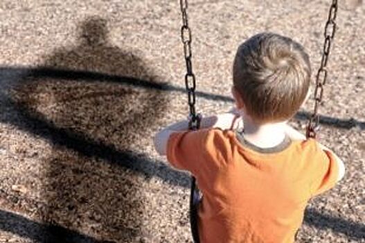 В Псковской области появится региональный центр по поиску пропавших детей