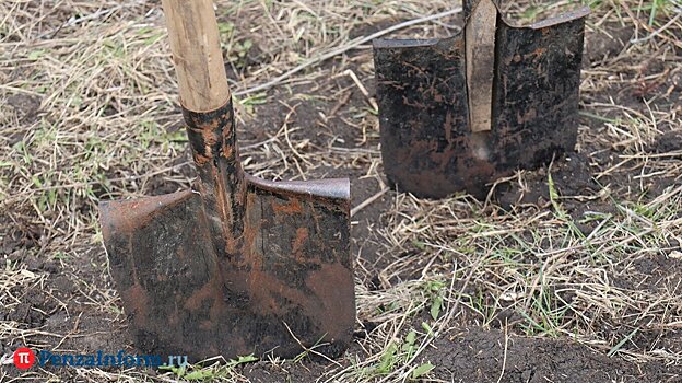 У пензенцев вырос интерес к садоводству