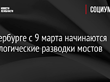 В Петербурге с 9 марта начинаются технологические разводки мостов