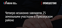 Четверо незаконно завладели 25 земельными участками в Приозерском районе