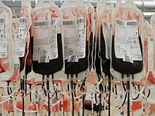Почти 40 тонн донорской крови и ее компонентов заготовили в Подмосковье в январе-августе