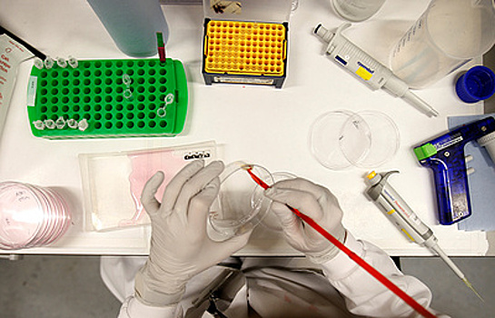 Одним из лауреатов премии Крафорда стал выходец из России