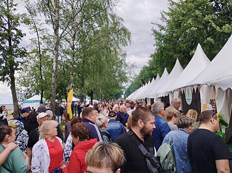 Костромичей досыта накормят щами на следующей неделе