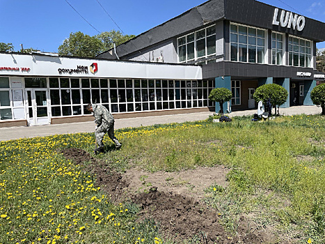 Скульптура в виде родового древа появится в Благовещенске на время фестиваля «Город в цвете»