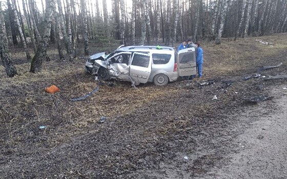 В ДТП с такси в Касимовском районе погибла женщина