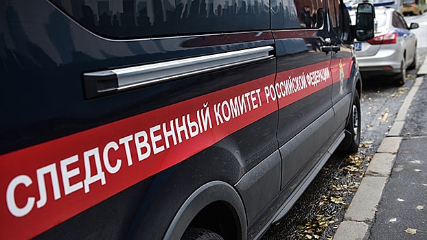 В Подмосковье возбудили еще одно уголовное дело в отношении ограбивших дом Цекало