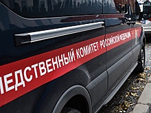 В Подмосковье возбудили еще одно уголовное дело в отношении ограбивших дом Цекало