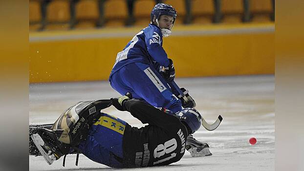 Чемпион России среди юниоров по бенди Хвалько умер после укуса клеща