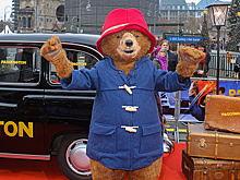 СМИ: съемки продолжения фильма про медвежонка Паддингтона начнутся 24 июля