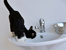 Мариуполь останется без горячей воды до осени