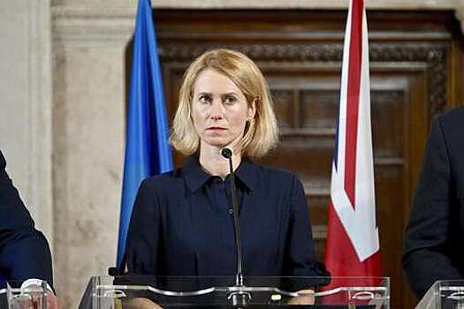 Каллас анонсировала выделение еще €100 млн на поддержку Украины зимой