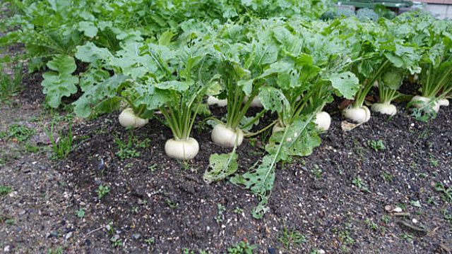 Народные приметы на 13 августа 2024 года: что нельзя делать в этот день