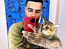 Звездные котики: кто делает счастливым Тимати, Волочкову, Тейлор Свифт и других знаменитостей