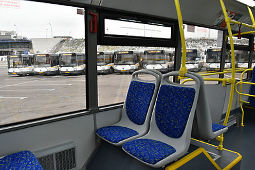 Два вида информационных стикеров для пассажиров могут разместить в автобусах Подмосковья