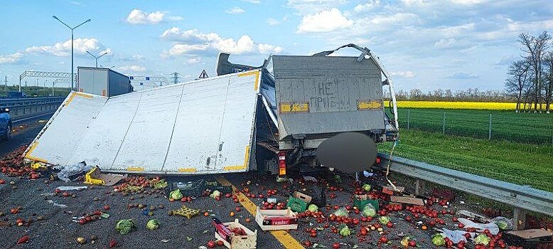 Овощной хаос: после ДТП на М-4 «Дон» трассу засыпало капустой и яблоками в Кореновском районе