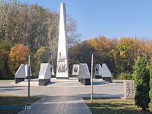 Пензенец рассказал, во что превратился сквер «40 лет Победы»