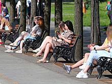 Посещаемость парков Подмосковья выросла на 15% по сравнению с показателями прошлого года