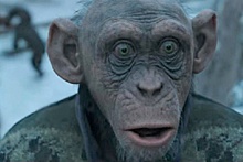 Завершены съемки фильма "Планета обезьян: Королевство"