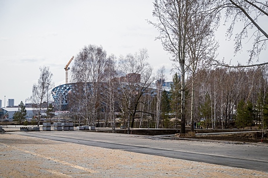 Дорогу к ЛДС полностью введут в эксплуатацию после заключения экспертов в Новосибирске