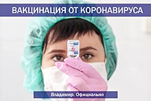 Привиться от коронавируса во Владимире можно в 21 пункте вакцинации